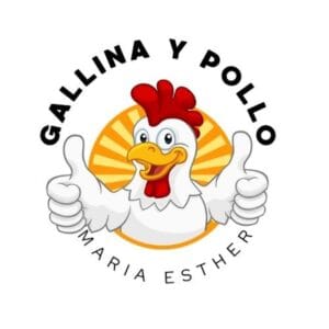 Gallina Y Pollo Crudo
