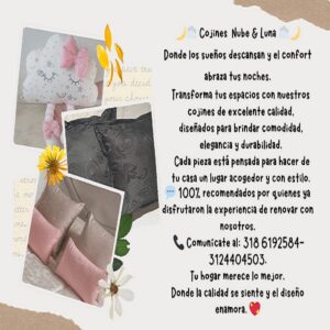 Nube y Luna ( Cojines )