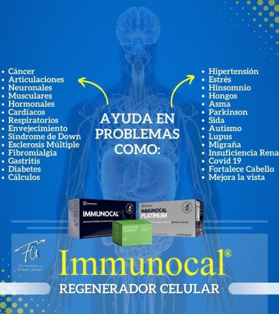 WhatsApp Image 2025-02-25 at 7.40.44 PM