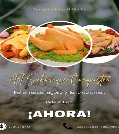 pollo logo