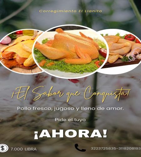 pollo logo